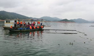 縣畜牧獸醫(yī)漁業(yè)局多措并舉 大力引導和扶持綠色畜牧業(yè)高質量發(fā)展